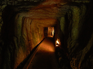 龍源寺間歩２ Ryugenji Mine Shaft 2.JPGのサムネール画像